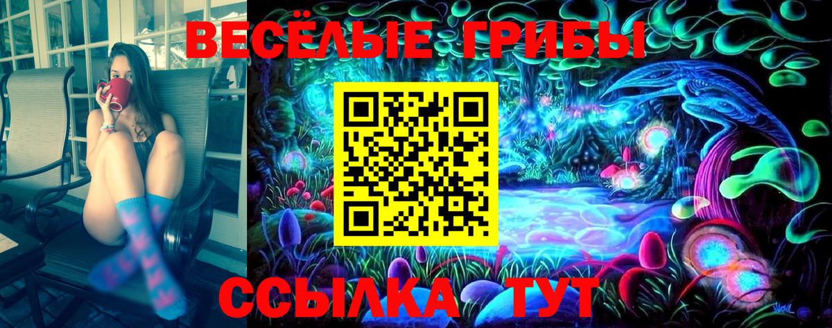 Псилоцибиновые грибы Psilocybe Ивантеевка