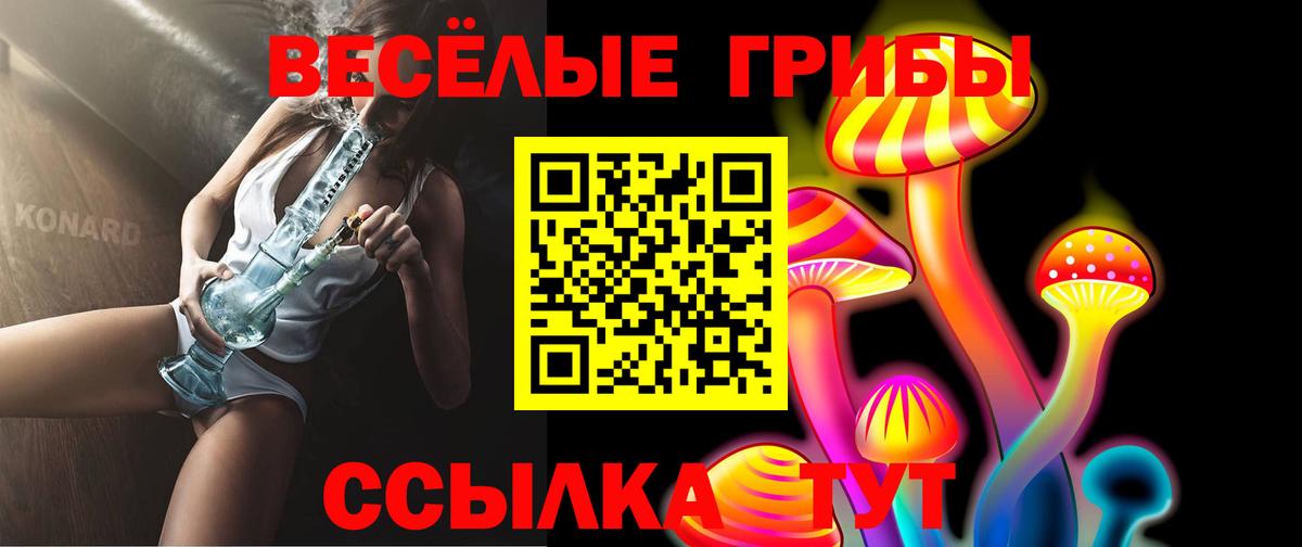 Ивантеевка  Псилоцибиновые грибы прущие грибы  купить   Вход с VPN 